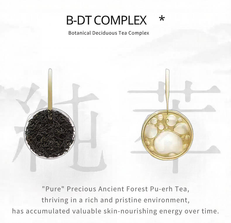 Tea leaves and a gold teabag with text about B-DT Complex and Pu-erh tea.