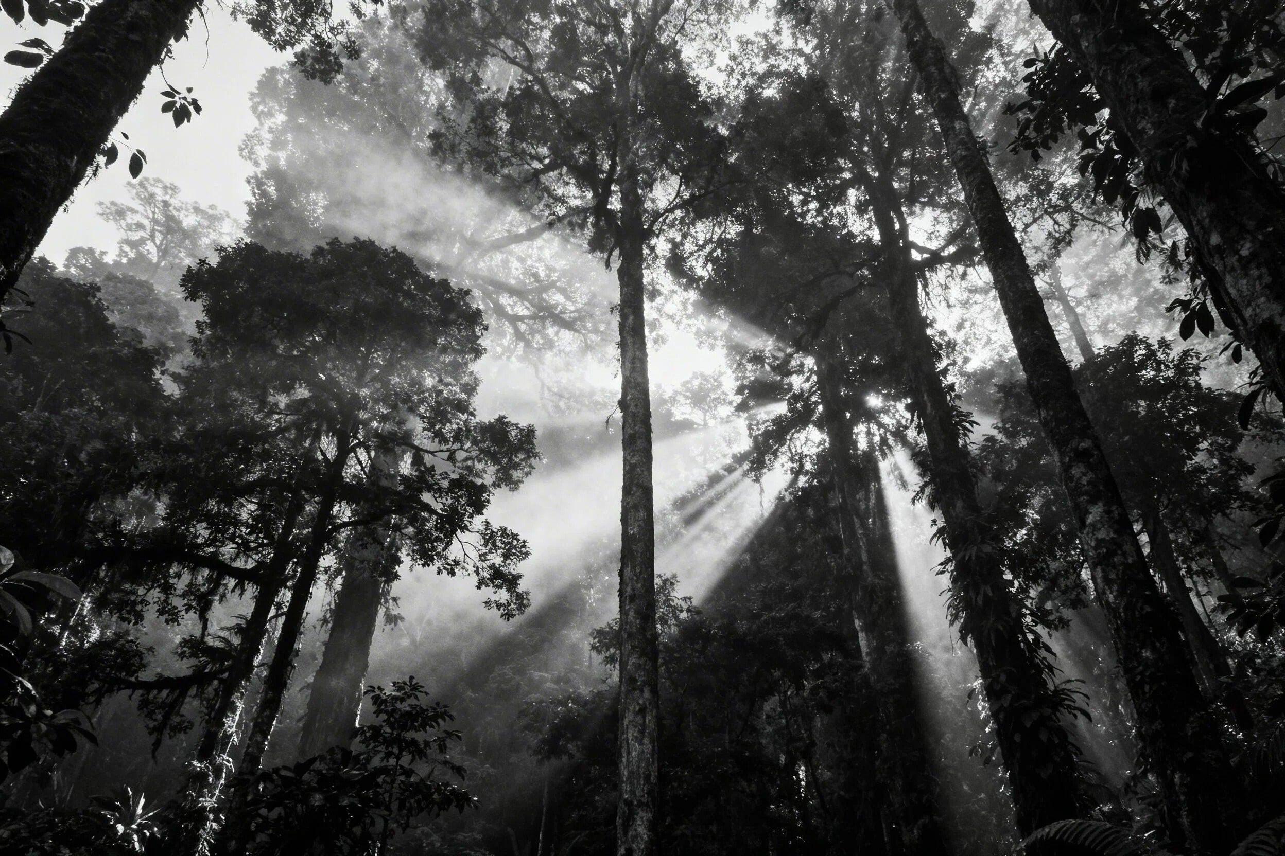 CHA LING PURIFYING MASK